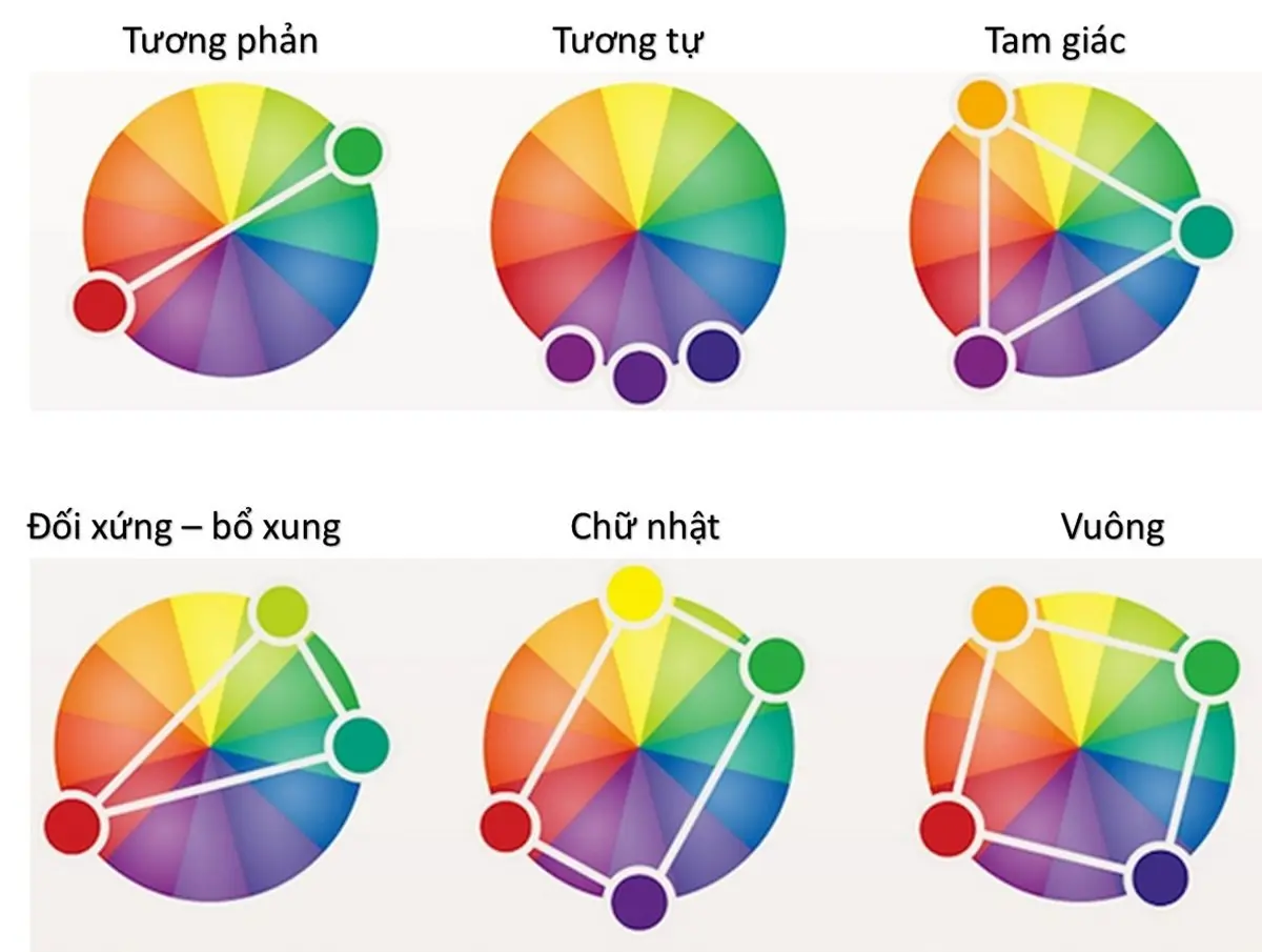 Bánh xe màu sắc trong thời trang với nhiều gam màu đa dạng